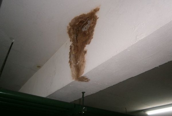Foto nº 01 – Vista da infiltração d’água em laje e vigamento de garagem no subsolo em decorrência de execução imperita de impermeabilização com manta asfáltica num espelho d’água no pavimento térreo externo de uma determinada edificação.